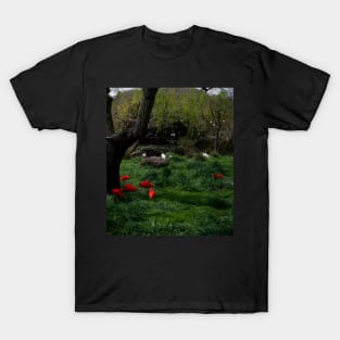 Tropical Bright pink and white birds at safari west with dark green foliage T-Shirt